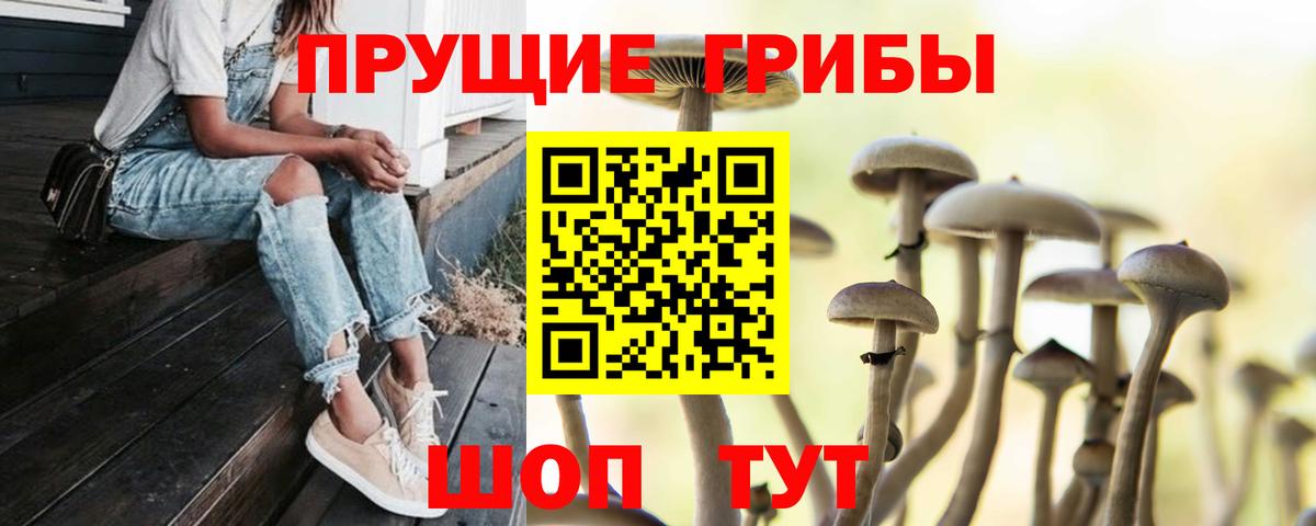 Рославль  Галлюциногенные грибы Psilocybe  Вход с VPN 